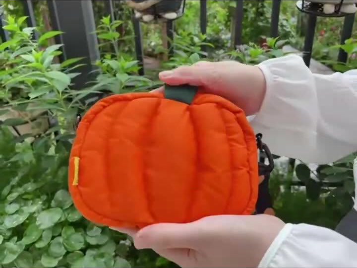 Pumpkin bag held in two hands for scale